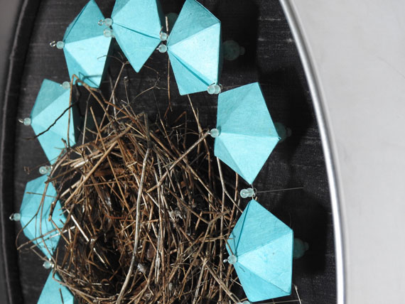 Bird Nest on the Ground