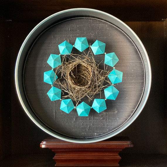 Bird Nest on the Ground