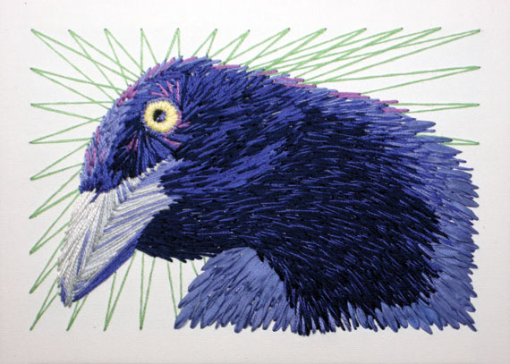 Grackle Want a Cracker