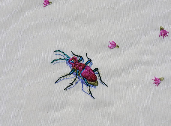 mescalero sands bettle